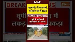 Mahoba | Hyena | Caught आदमखोर की चहलकमी...महोबा के गांव में दहशत | UP Forest Officer | Man Eater