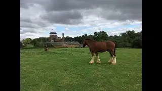 Cotswolds - Ales, Ciders, and Historic Pubs of England Tour