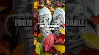 The Sustainable Footwear Movement