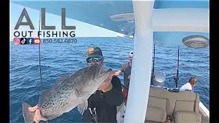 Catching Scamp Grouper in Destin, FL