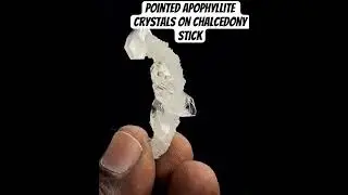 Pointed Apophyllite crystals on chalcedony stick #crystals #minerals #apophyllite #+10k views