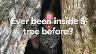 Venturing INSIDE a 1,250 Year Old Cedar Tree&mdash;Mt. Baker, WA