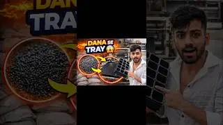 Day 15  /👉 Ye Dana Ban Jata Hai Nursery Tray 😲 | Sheet Se Tray Kaise Banti Hai #shorts #Surojvlog
