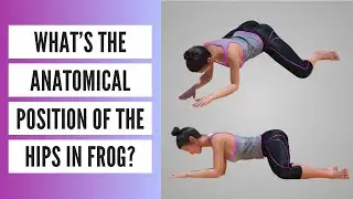 What's the Anatomical Position of the Hips in Frog Pose?