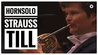 Strauss’s Till Eulenspiegel, Horn Solo