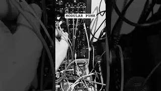 Electro punk modular dawless jam. #synth #modular #punk #minibrute #accessvirus #mudscope