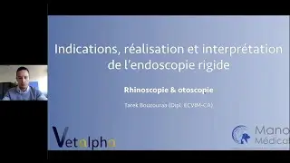 Indications, r&eacute;alisation, interpr&eacute;tation de la rhinoscopie et l'otoscopie rigides chez les animaux