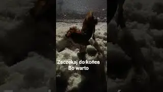 pudia vs mega zaspa śniegu ale pienknie kopie 😍