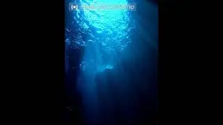 June Samples 2022 (feat. 808 DREAMY, Whitemayo & Southpaw) (Prod. Skelebro Sans)