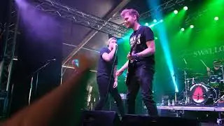 Swallow's Rose  - 24.6.2023 Mighty Sounds