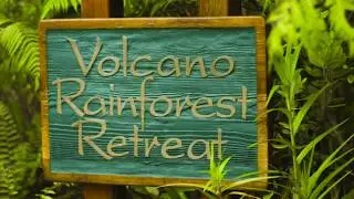 Volcano Rainforest Retreat