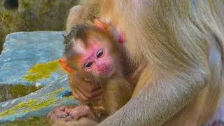 Congratulation Mama Lauy got newborn baby & She just gave birth this early morning
