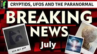 UFO and Cryptid News July 2020