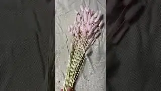 Pink Bunny Tail