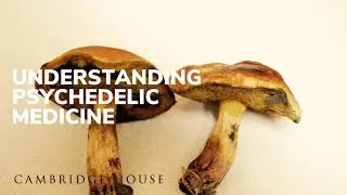 The Psychedelic Renaissance Panel: Medicinal Treatments Demystified