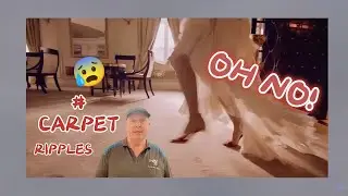 Carpet Stretching in Perth Australia
