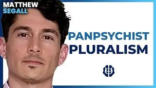 An Introduction to Process-Relational Ontology: Panpsychist Pluralism | Matthew Segall