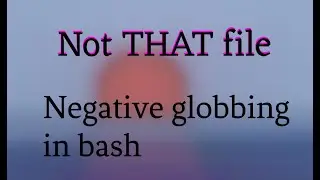 Everyting BUT this file - Negative globbing in bash