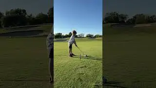 IMG 0352