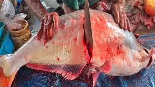 &ldquo;Extreme Pangas Fish Cutting Skills &ndash; Village Style Butchering You Must See!! #explore #Cutting 