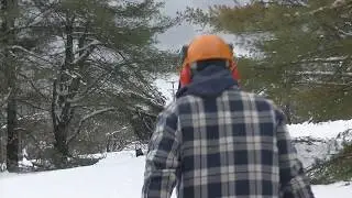 Freedom Maine Spring Snowstorm, April 10, 2020