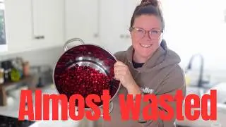 Zero Waste Canning | Pantry Preservation Using What We Have
