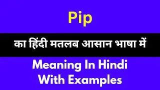 Pip meaning in Hindi/Pip का अर्थ या मतलब क्या होता है.