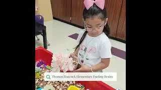 Thomas Hancock Elementary -Right Brain