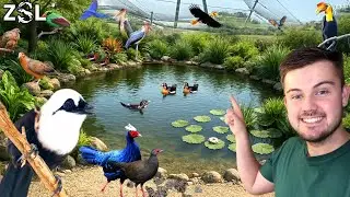 INSIDE ZSL Whipsnade's Bird Collection: Where Conservation Takes Flight