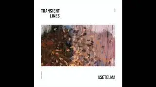 Transient Lines - Asetelma LP - 10 Transient Lines - Integrate (Deep &Auml;ndi Remix)
