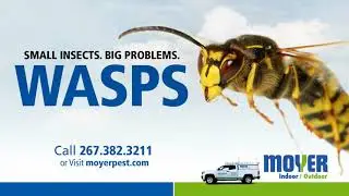 Indoor Digital Billboard Ad for Moyer Pest Control