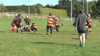 Enniskillen Mini Rugby