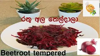 රතු අල තෙල්දාලා රසට හදමු😊, Beetroot tempered, how to make beetroot, Beetroot, Eats & Treats