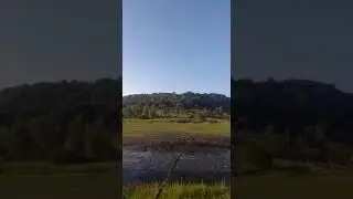 Tra&iacute;ra na isca artificial