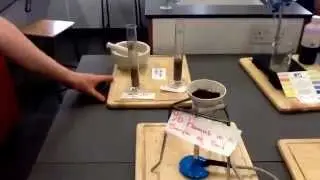 ecology and soil experiments