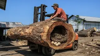 Danger Lurks in This Red Wood ‼ Sawmill Workers Stunned by Hidden Creatures