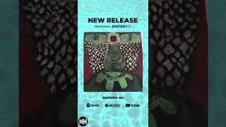 From Ibiza city,new release 5maestro,Optimizer 🫶🎶