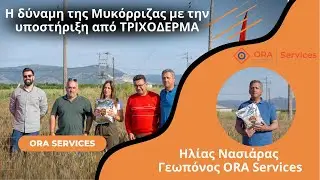&Eta; &delta;ύ&nu;&alpha;&mu;&eta; &tau;&eta;&sigmaf; &Mu;&upsilon;&kappa;ό&rho;&rho;&iota;&zeta;&alpha;&sigmaf; &mu;&epsilon; &tau;&eta;&nu; &upsilon;&pi;&omicron;&sigma;&tau;ή&rho;&iota;&xi;&eta; &alpha;&pi;ό &Tau;&Rho;&Iota;&Chi;&Omicron;&Delta;&Epsilon;&Rho;&Mu;&Alpha; &sigma;&epsilon; &epsilon;&kappa;&tau;&alpha;&tau;&iota;&kappa;έ&sigmaf; &kappa;&alpha;&lambda;&lambda;&iota;έ&rho;&gamma;&epsilon;&iota;&epsilon;&sigmaf;