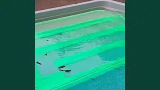 90s-Themed Pool Party