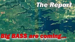 Lake Degray, Lake Hamilton and Lake Ouachita Fishing Report - 1/23/2026