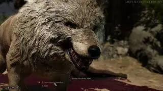 Patch 4 - Speaking to Gnolls/Hyenas as a Wolf (Druid) - Baldur's Gate 3 Early Access