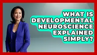 What Is Developmental Neuroscience Explained Simply? - Brain Development Hub