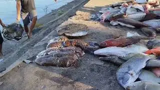 Bersyukur Dengan Rejeki Ikan Melimpah!!