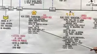 Best Probate Diagram!