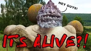 Mystery of LIVING & MOVING Stones!