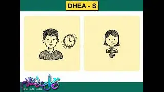تحليل DHEA S
