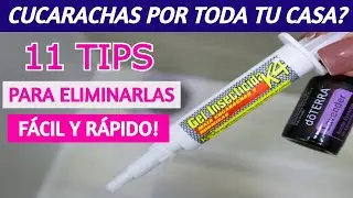 ✅ MÉTODOS  sencillos para DESAPARECER las CUCARACHAS  para SIEMPRE de tu CASA!