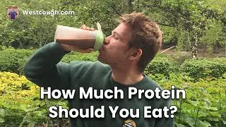 How Much Protein Should You Eat?