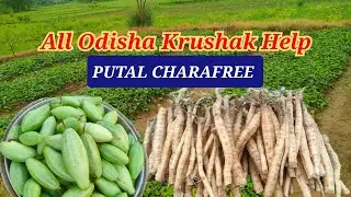 Odisha Krushak Help GREENPARIBAR All District Help