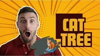 Cat Tree Rewards in Last Day on Earth | Feeding the Cat & Benefits Explained